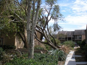 storm-multifamily